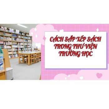 5 Cách sắp xếp sách trong thư viện trường học